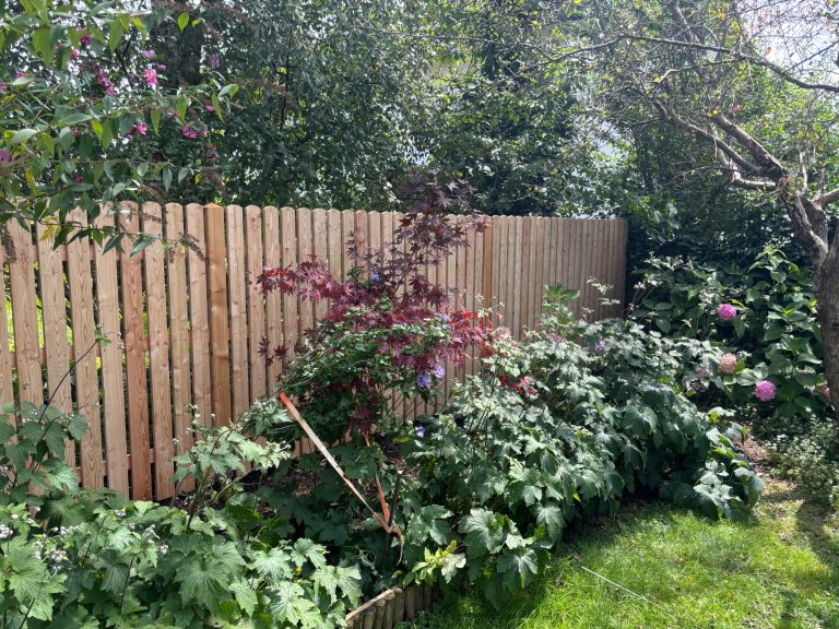 Lärchenbretter oben rund